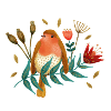 Vogel Roodborst Robin Bird