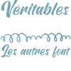 Véritable bricoleur niveau