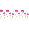 roses pink flowers plant