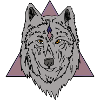 Kopf eines grauen Wolfes