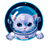 Kitten in Space
