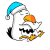 Albatross Seagull Bird