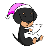 Dog Dog breed Dachshund