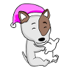 Hund Hunderasse Bullterrier
