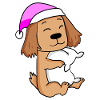Hund Hunderasse English Cocker Spaniel