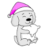 Dog dog breed Malteser