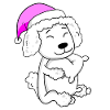 Chien Race Caniche
