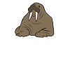 Walrus Whisperer