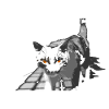 l'étrange chat