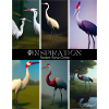 inspiration Eastern Sarus Crane