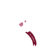 I'm sorry