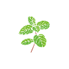 Le mojito c'est la vie