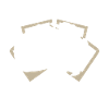 Never Lose Focus Photographer