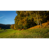Herbst Weg