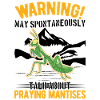 Gottesanbeterin Mantis Fangschrecke