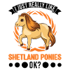 J’aime vraiment Shetland Ponies Shetty