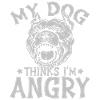 My Dog