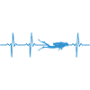 Diving Heartbeat Divers