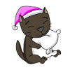 Cat cat breed Havana