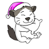 Chat race Ragdoll