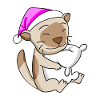Chat Cat Race Chat Birman