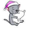 Cat cat breed Korat