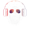 Monkey Dj Headphones