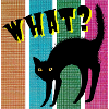 What? Cat