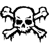 Pirate Skull