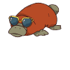 Schnabeltier Mit Sonnenbrille