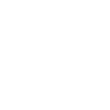 German Shepherd Dog 2