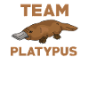 Team Platypus