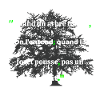 Citation, humour