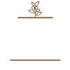 Half Coffee Half Teacher