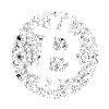 The Bitcoin Revolution