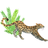 Leopard in the jungle