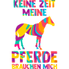 Reiten Pferd Reiter Geschenk