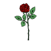 Roses, ChaneI and