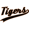 Tigers- American Football Design