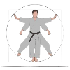 Karate Da Vinci
