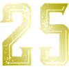 Symbole numérique 25