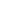 NO RULES Penguin