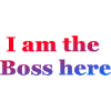 I am the Boss here