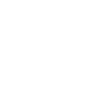 Schwerin coordinates