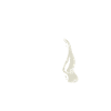Ghost Hunter Ghost Hunt Ghosts