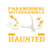 Ghost Hunt Paranormal Hauntings