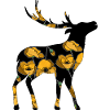 Hirsch