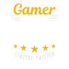 Gamer made in 2001