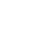 Basketball Champion