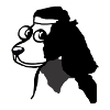 Hunde Design